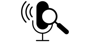 Voice Search